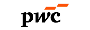 Partner Icon
