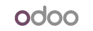 Partner Icon